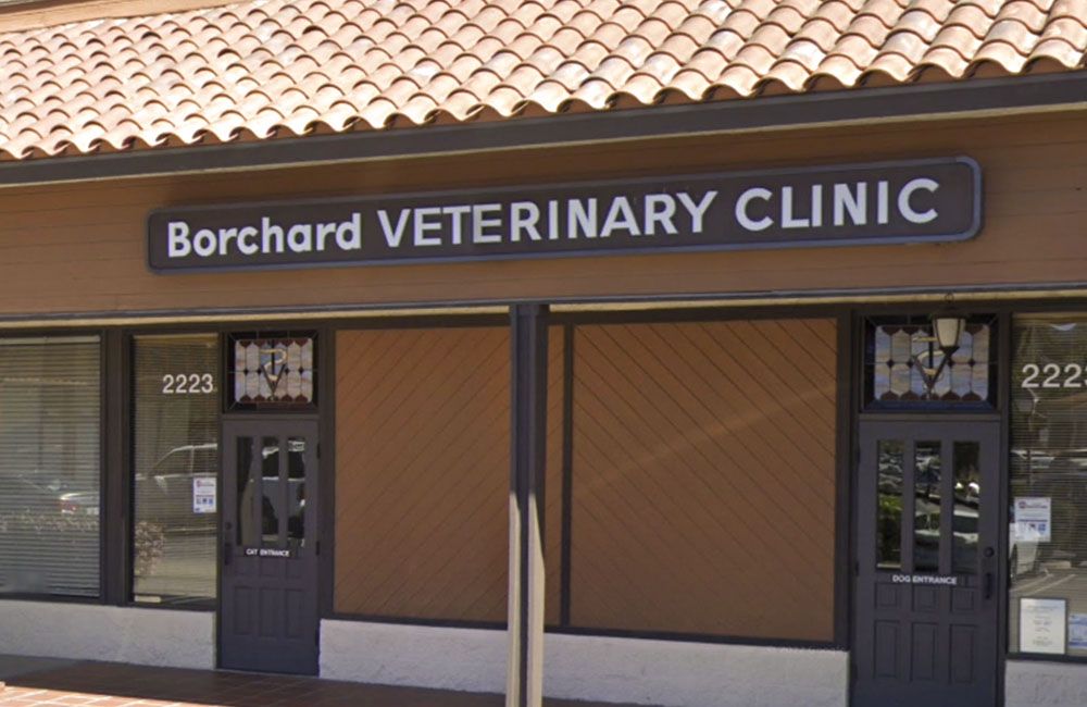 Borchard Veterinary Clinic entrance view